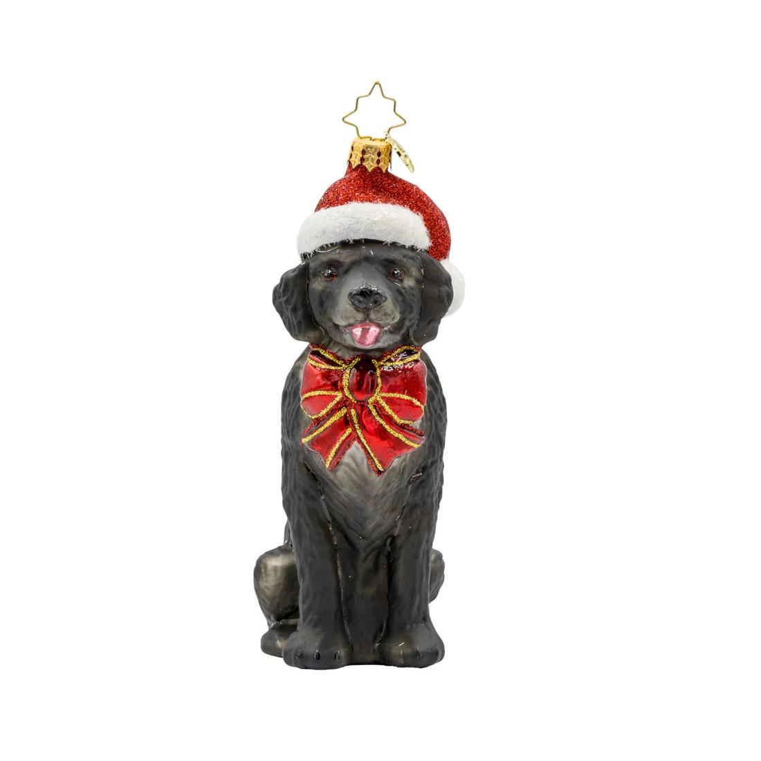 Loyal Black Lab Christopher Radko Ornament