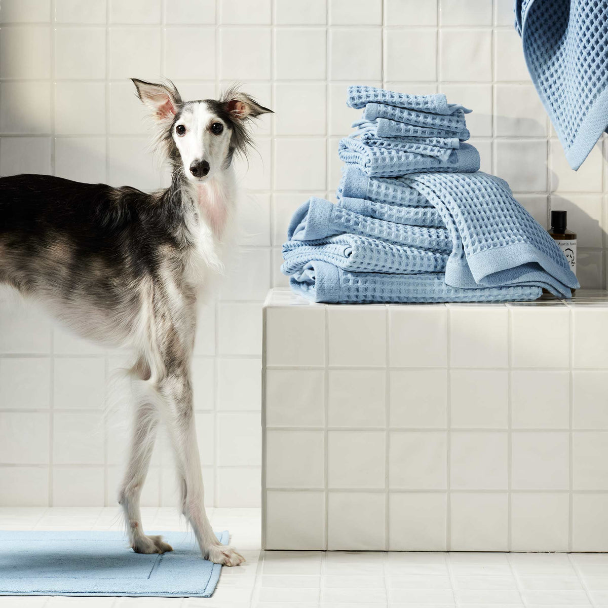 Dreamweave Waffle Hand Towels Set of 2 - Last Call