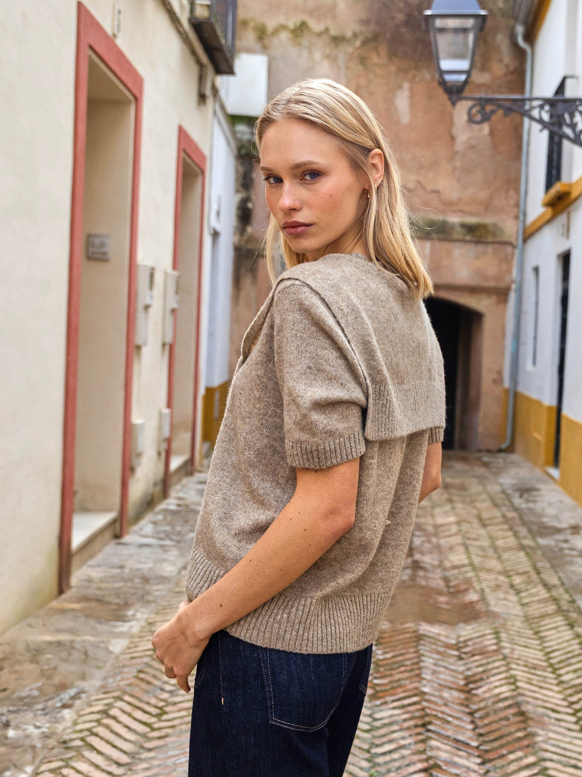 Short Sleeve Sweater With Sleeve Detail - Truffle