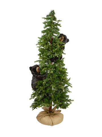 Black Bear Evergreen Tree