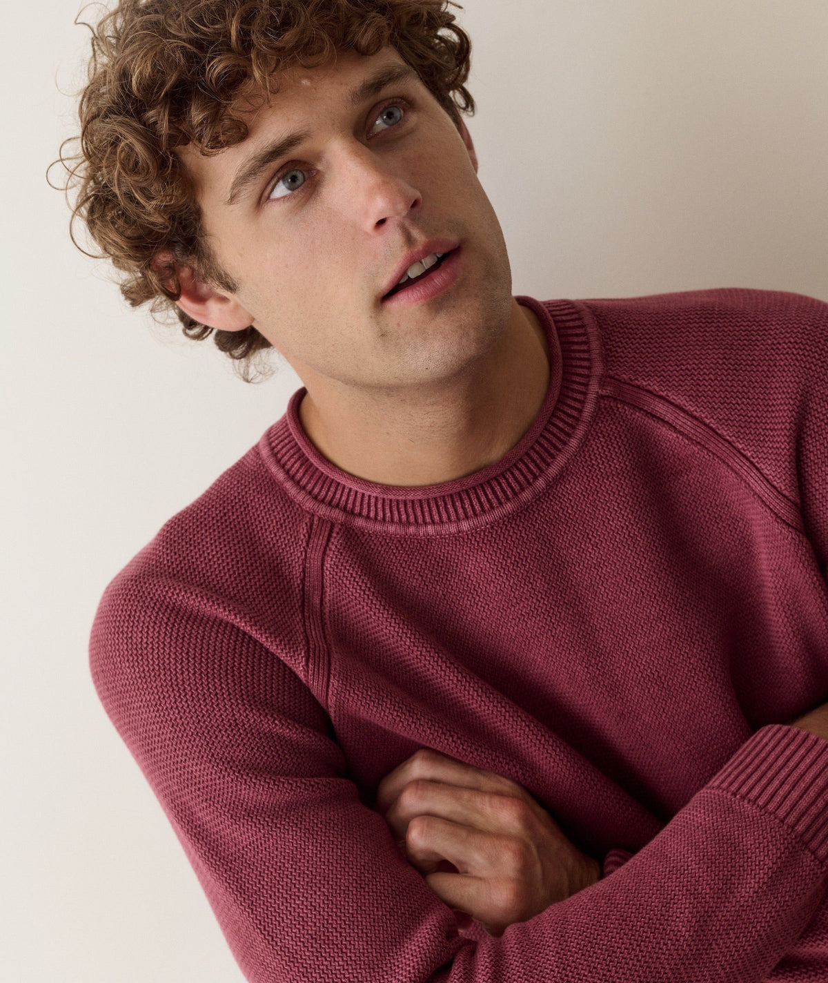 Noah Rollneck Sweater