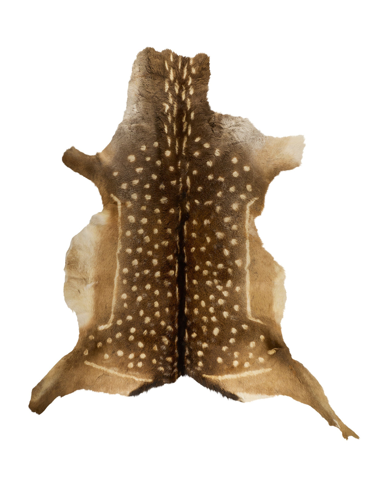Fallow Deer Hide