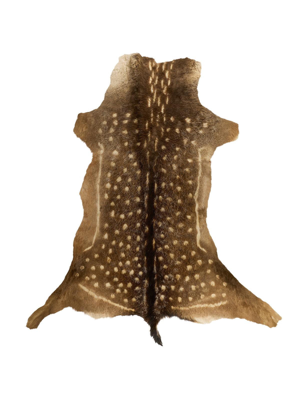 Fallow Deer Hide
