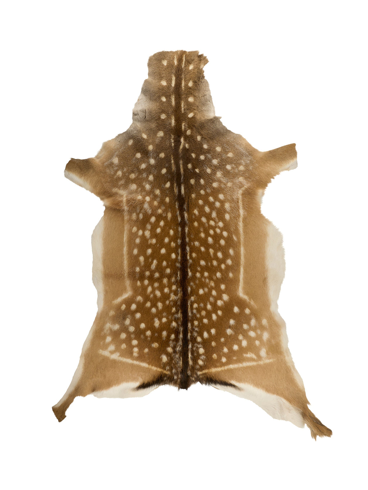Fallow Deer Hide