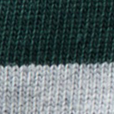The Rugby Shirt in Dark Forest Stripe