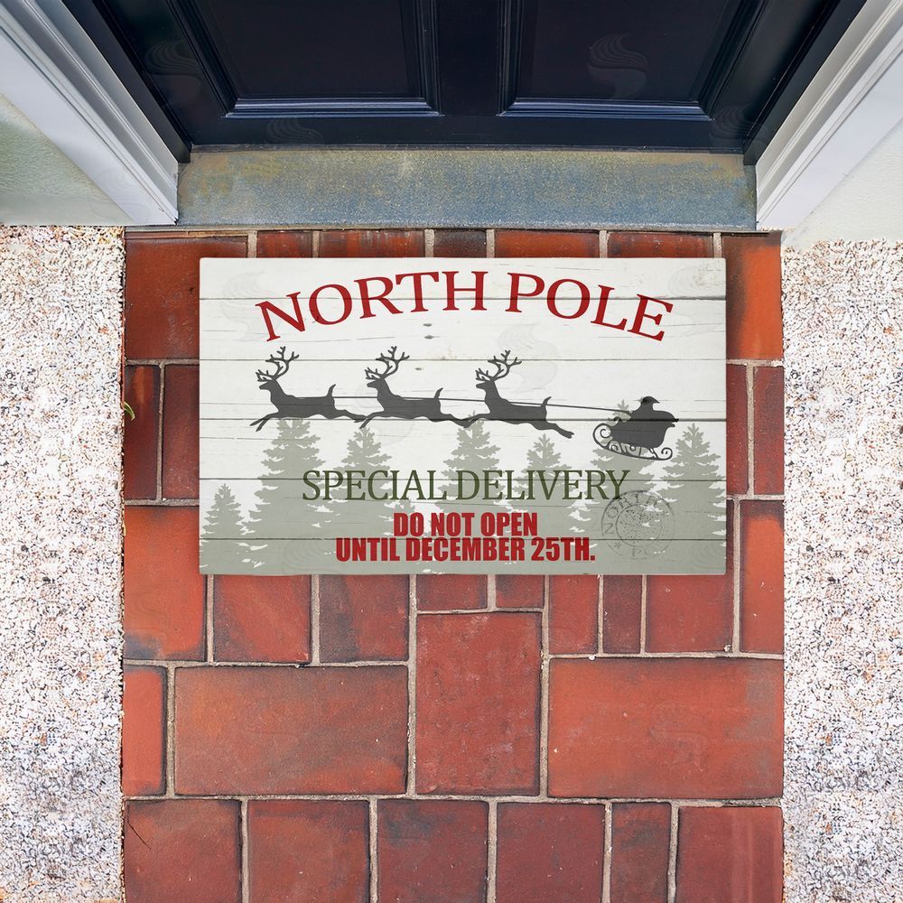 Kim Allen | Special Delivery Holiday Sleigh Non-Woven Door Mat