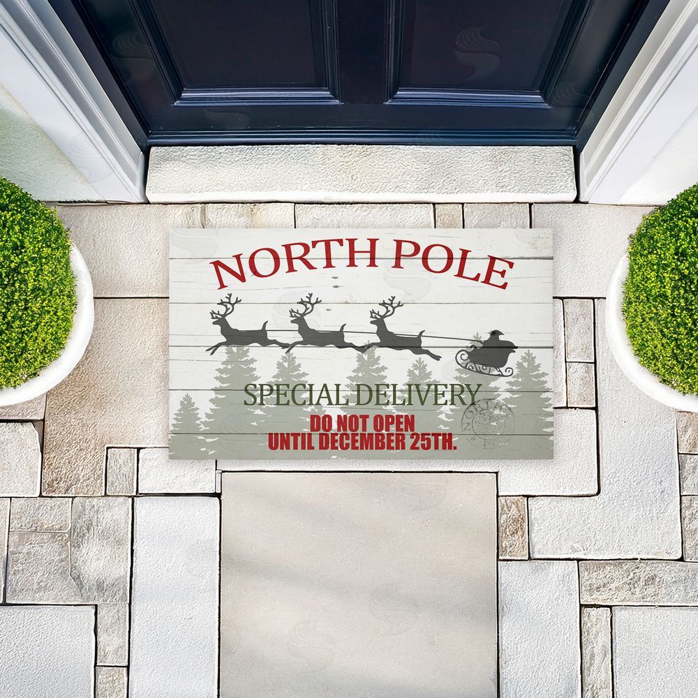 Kim Allen | Special Delivery Holiday Sleigh Non-Woven Door Mat