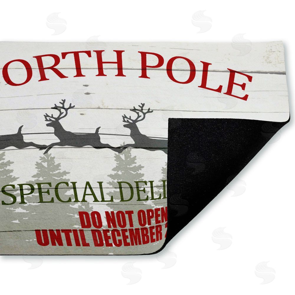 Kim Allen | Special Delivery Holiday Sleigh Non-Woven Door Mat