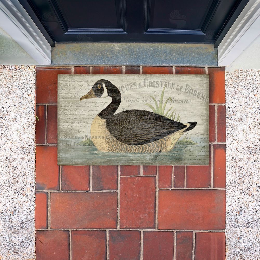 Suzanne Nicoll | French Goose Vintage Motif Non-Woven Door Mat