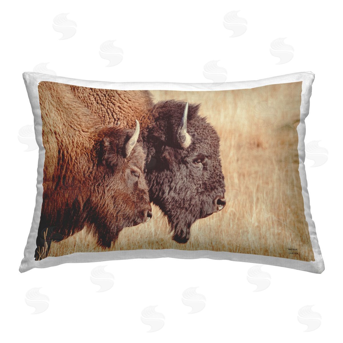 Nathan Larson | Bison Pair in Countryside