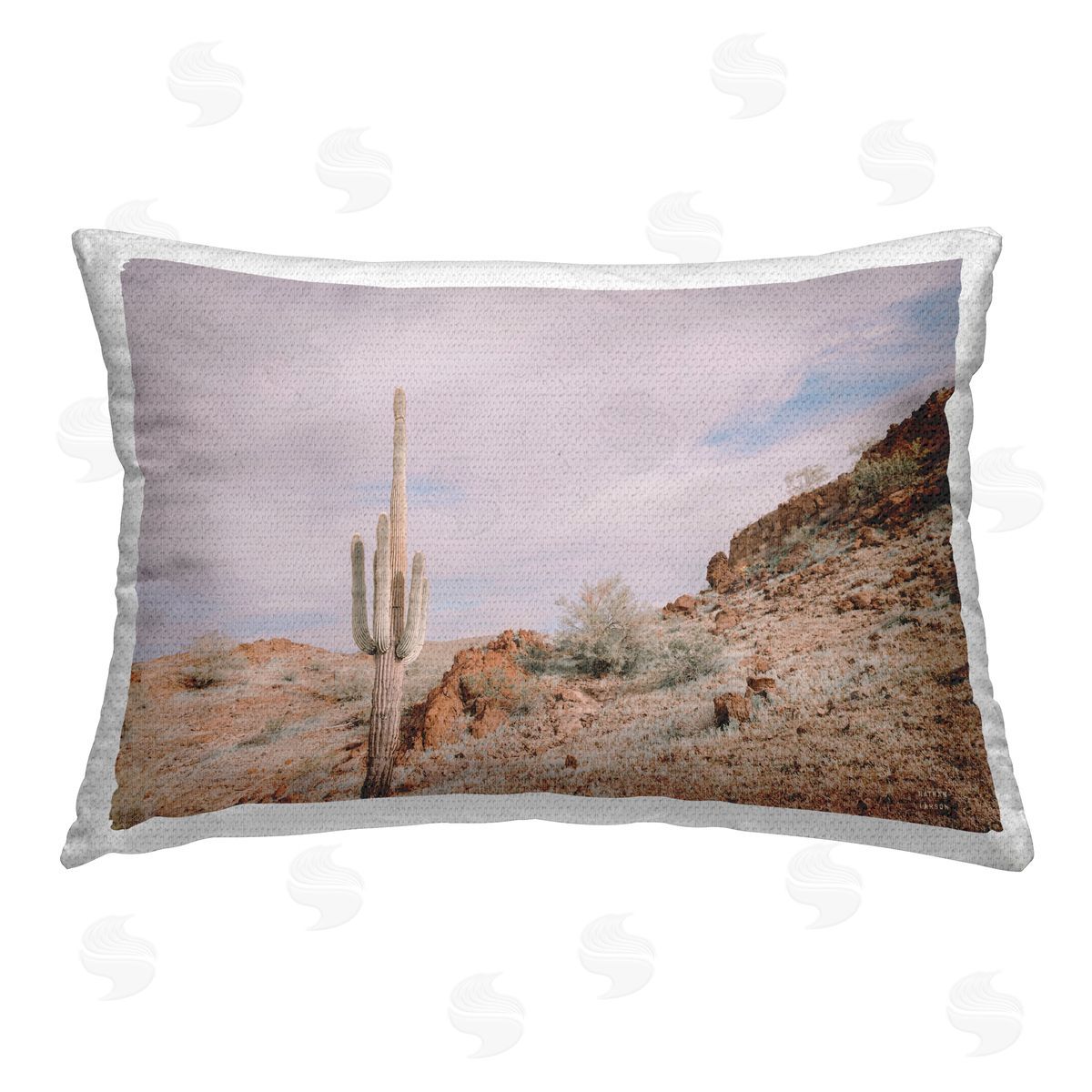 Nathan Larson | The Climb Desertscape