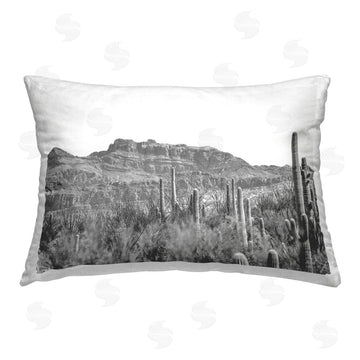 Nathan Larson | American Borderlands Desertscape