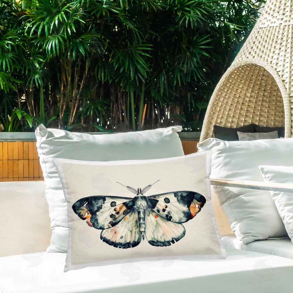 Petal Prints Design | Watercolor Black Trimmed Moth