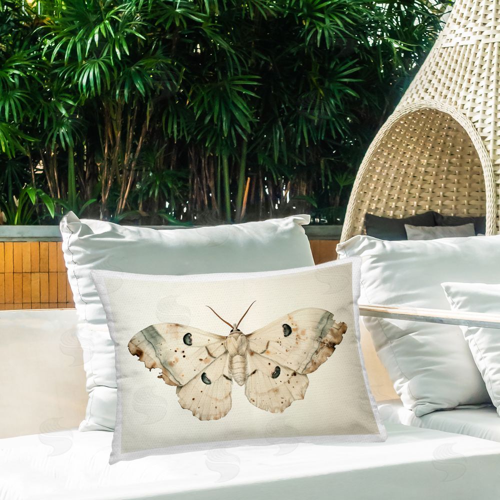 Petal Prints Design | Vintage Beige Moth
