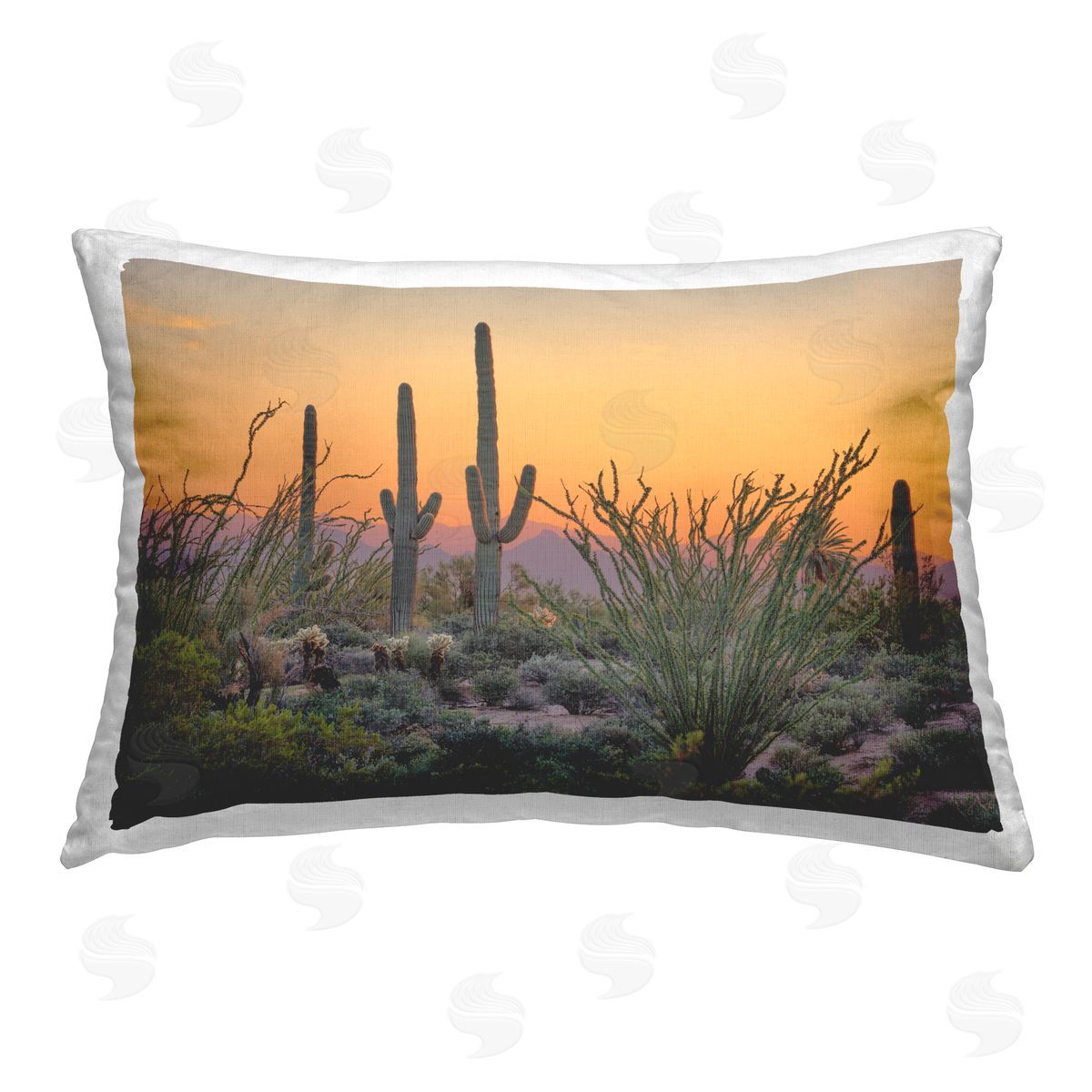 Marty Hulsebos | Sunset Desertscape Cacti