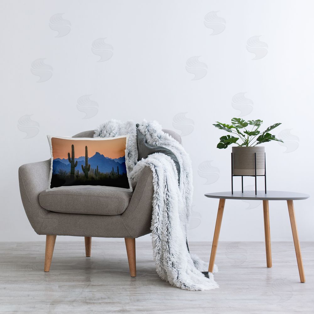 Marty Hulsebos | Contrasting Desert Sunset
