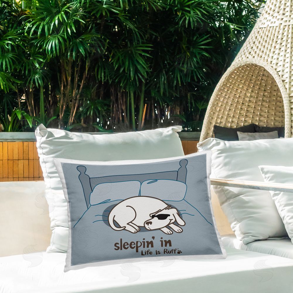 LIR | Sleeping In Dog