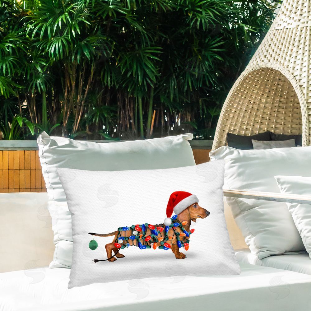 John Hovenstine | Christmas Lights Wrapped Dog