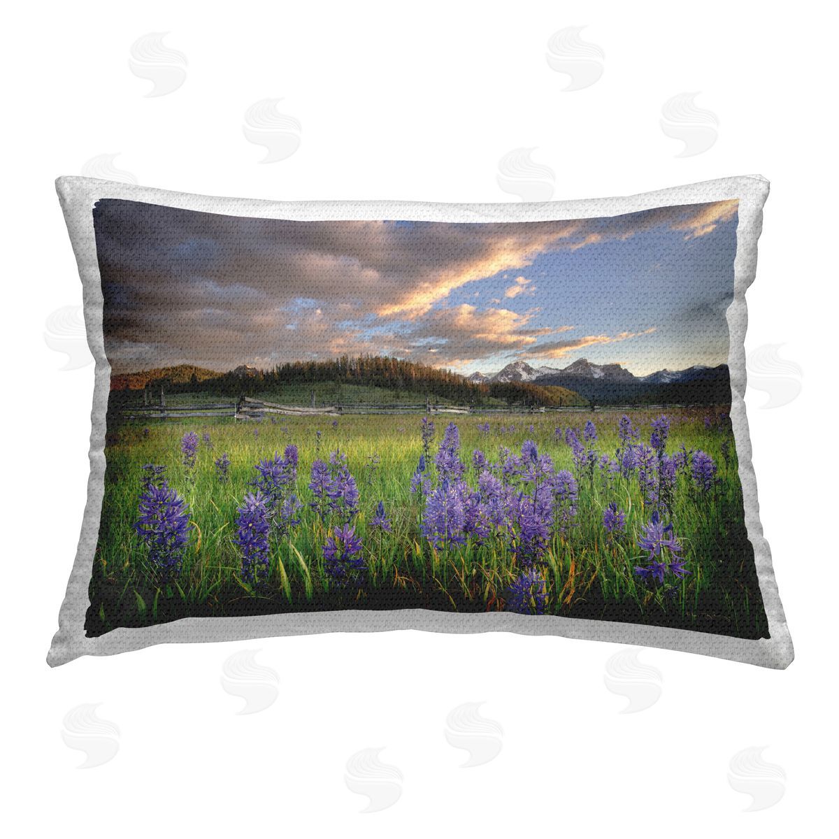 Alan Majchrowicz | Lavender Bloom Meadows