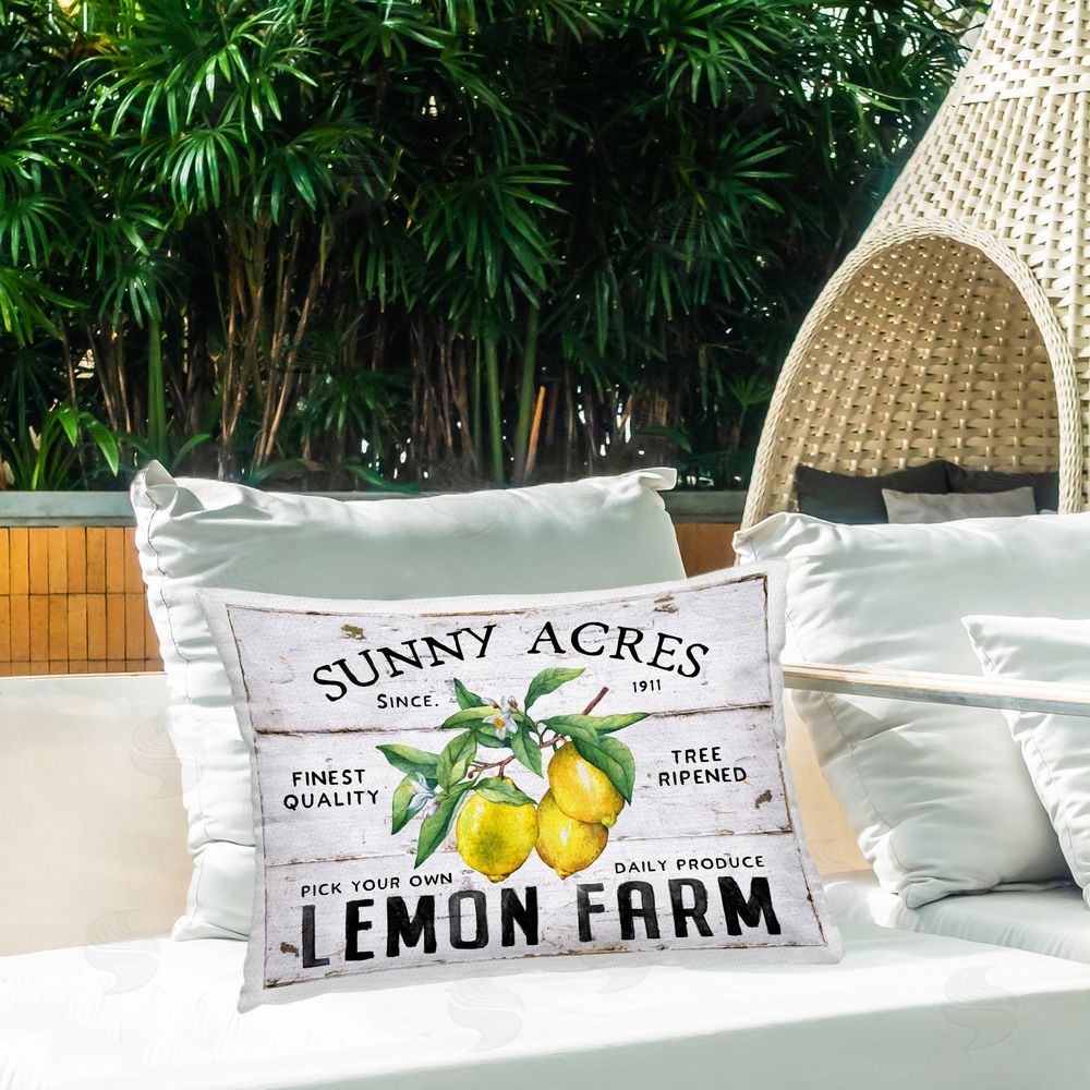 Creatif Belle | Sunny Acres Lemon Farm