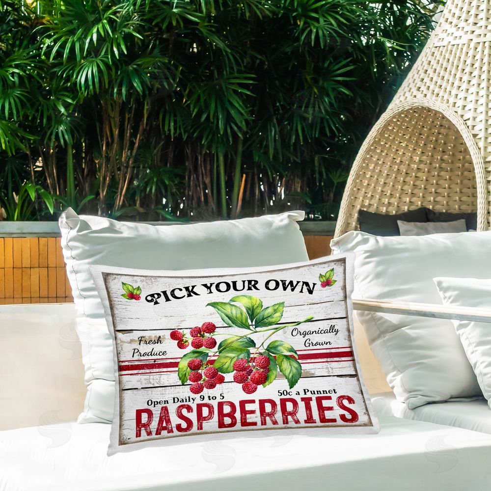 Creatif Belle | Pick Your Own Raspberries